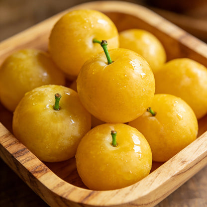 🌱Plum Growing Kit – Sweet Fruit Tree for Home Garden