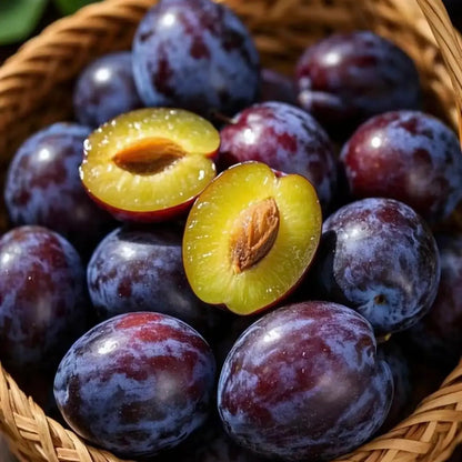 🌱Plum Growing Kit – Sweet Fruit Tree for Home Garden