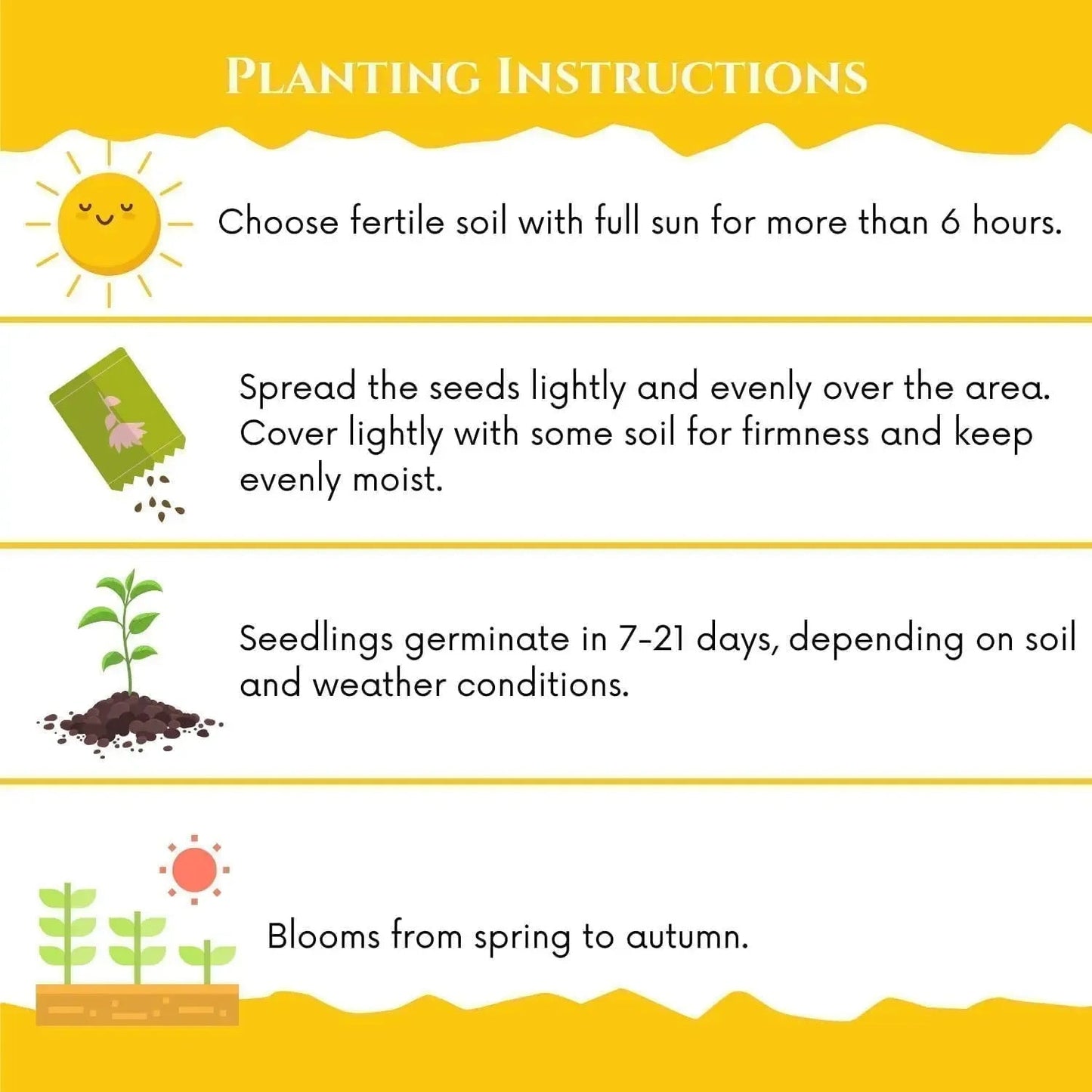 🌱Plum Growing Kit – Sweet Fruit Tree for Home Garden